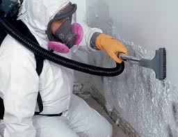 Mold Remediation for Vacation Homes in Labelle, FL